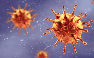© Adobestock/Thaut Images Corona virus